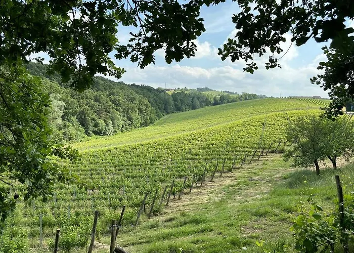 Monticello Вилла *